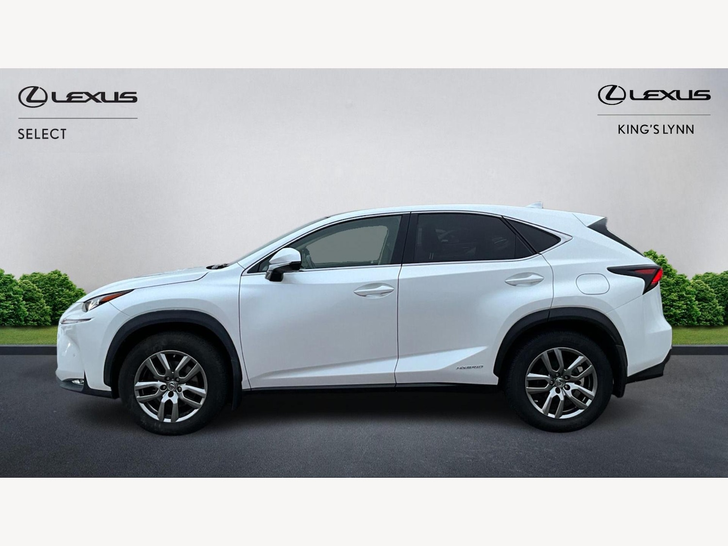Used Lexus NX 2016 for sale - 77411945: Photo 3