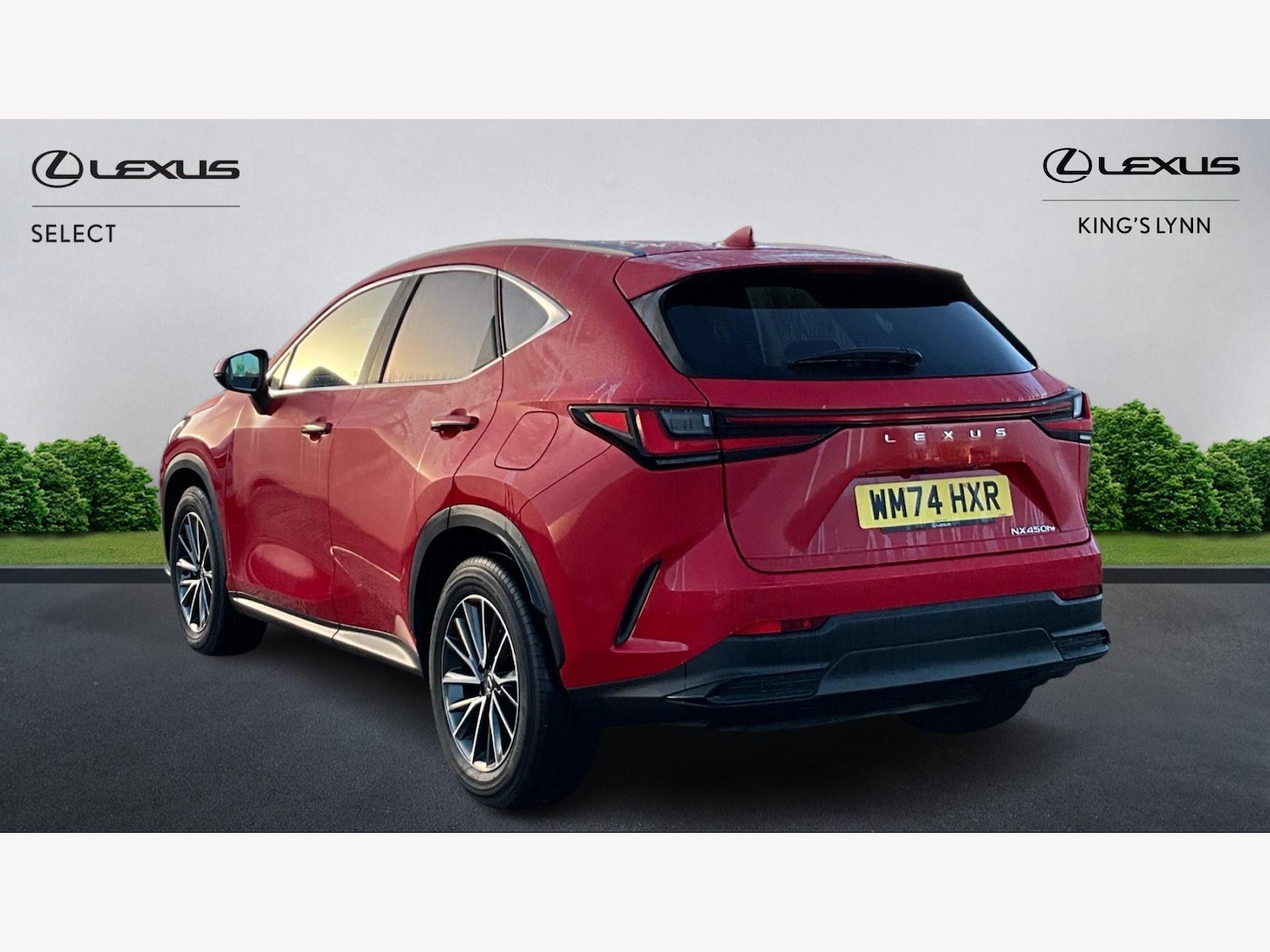 Used Lexus NX 2024 for sale - 77163058: Photo 2