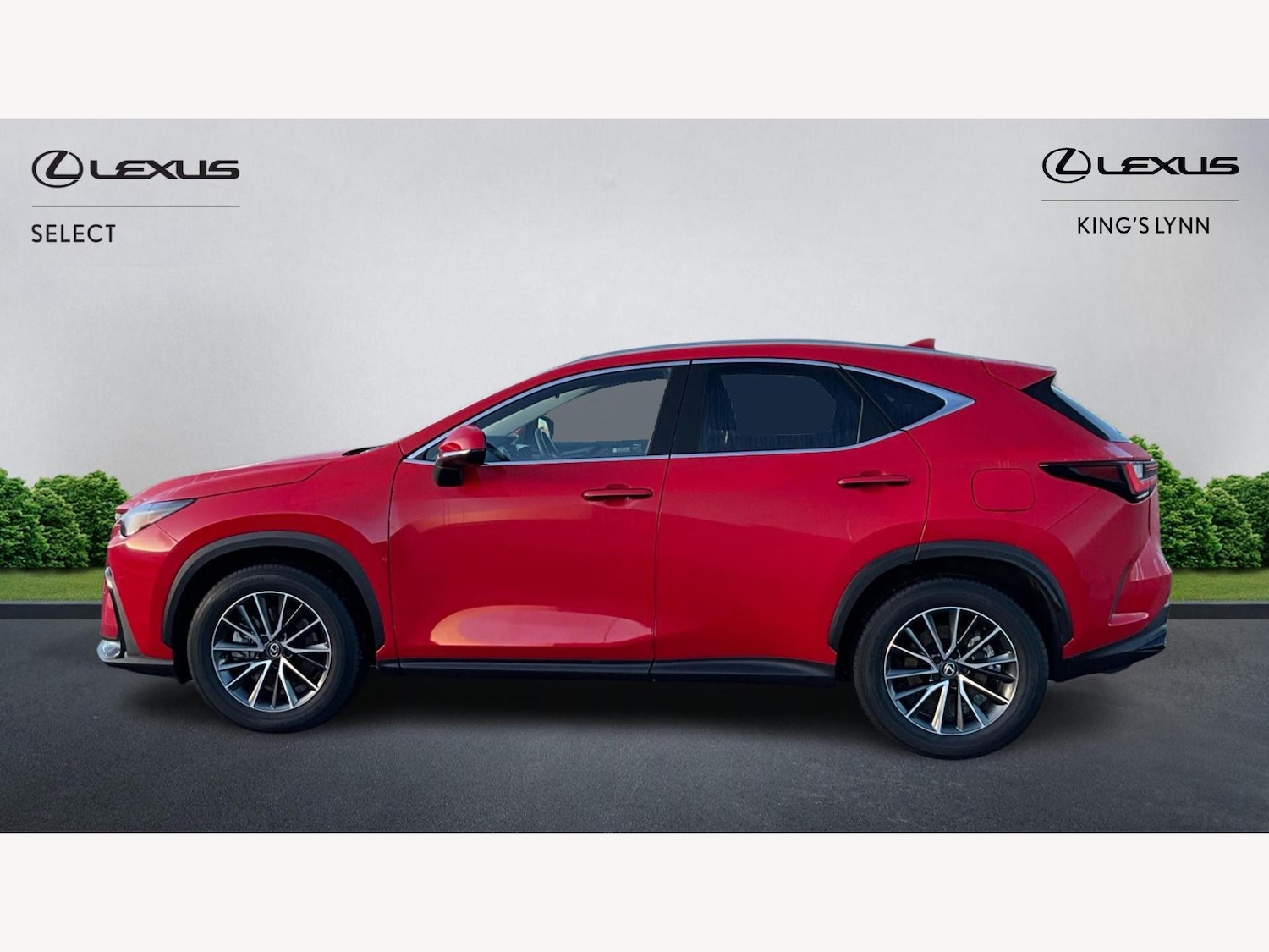 Used Lexus NX 2024 for sale - 77163058: Photo 3