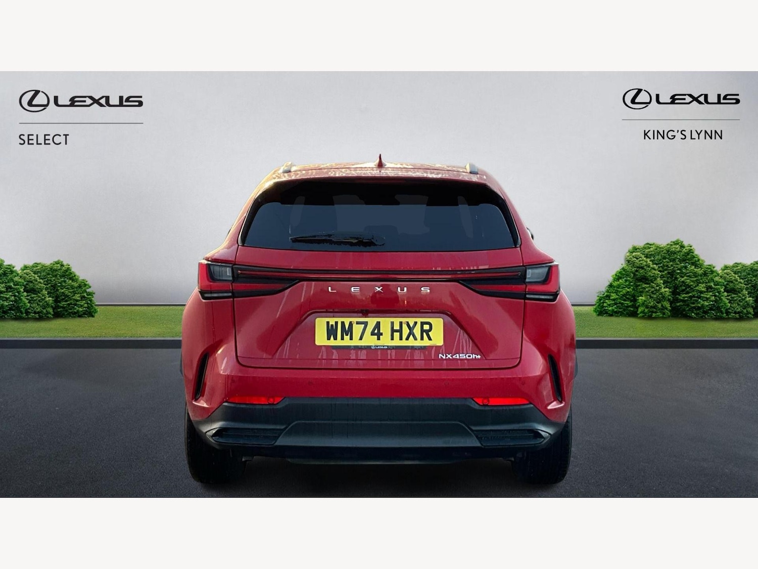 Used Lexus NX 2024 for sale - 77163058: Photo 7