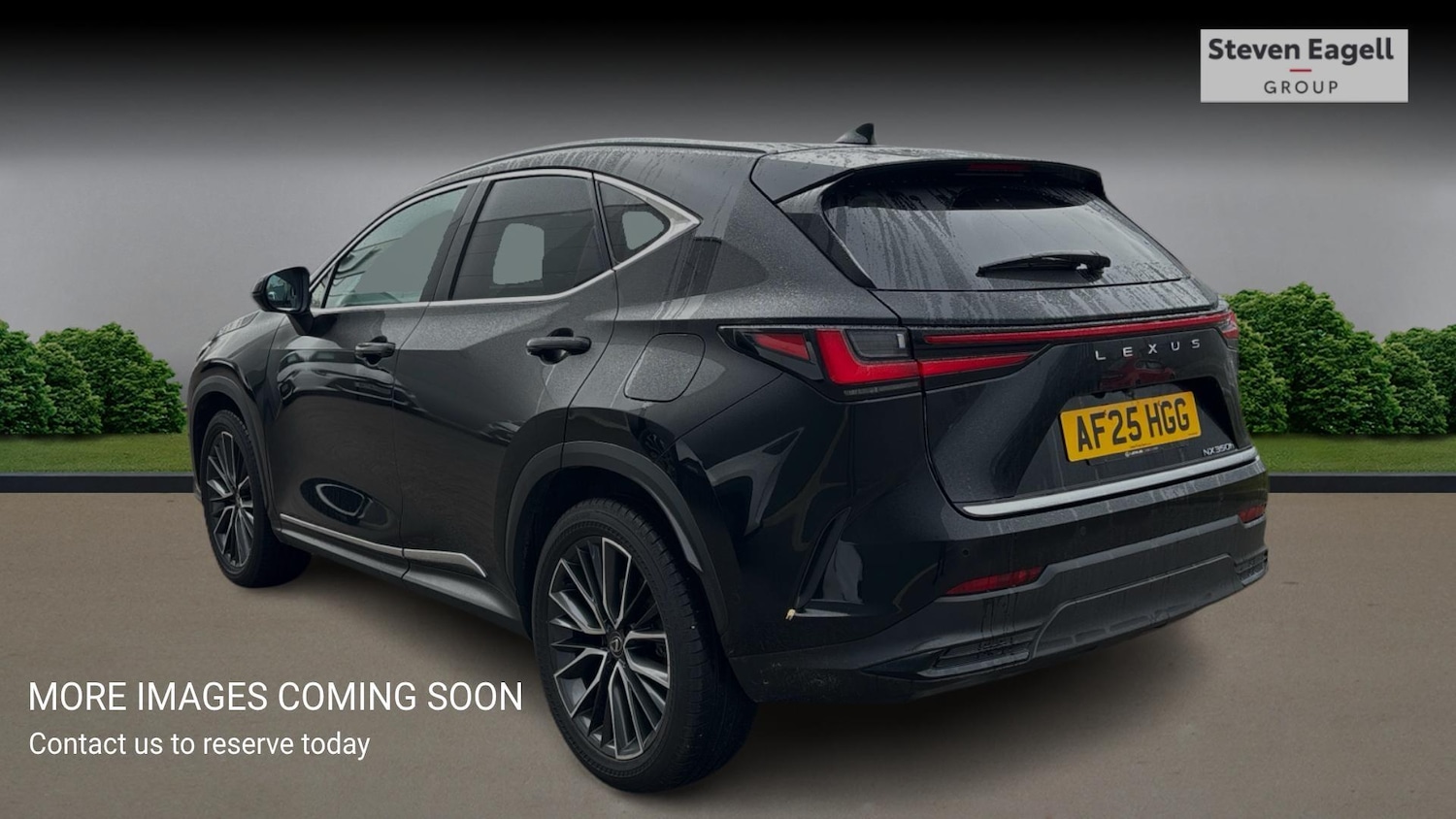 Used Lexus NX for sale - 77683491: Photo 2