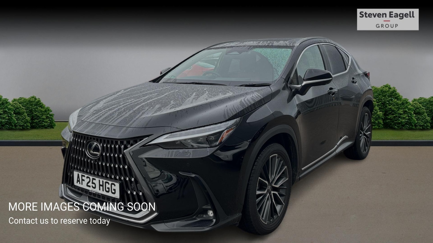 Used Lexus NX for sale - 77683491: Photo 3