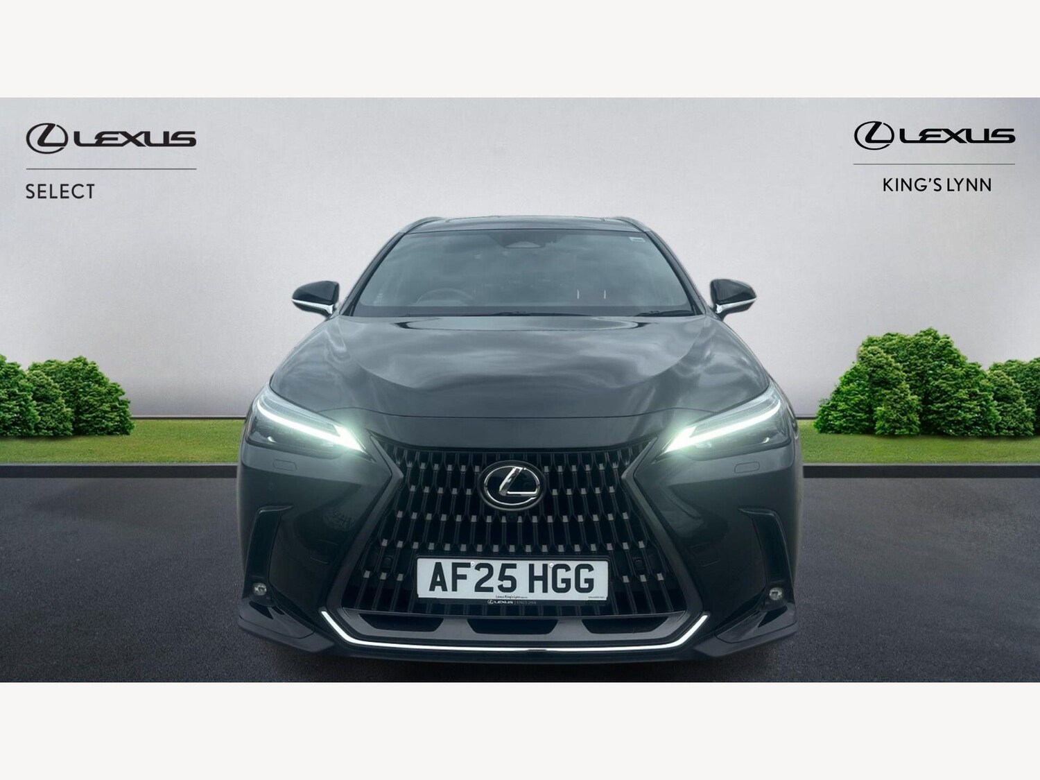 Used Lexus NX 2025 for sale - 77683491: Photo 6