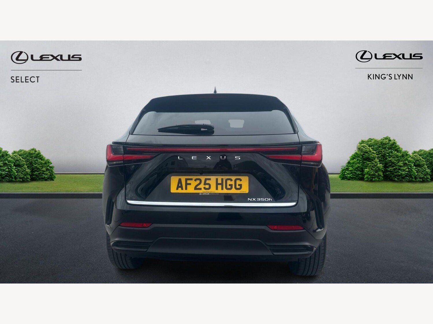 Used Lexus NX 2025 for sale - 77683491: Photo 7