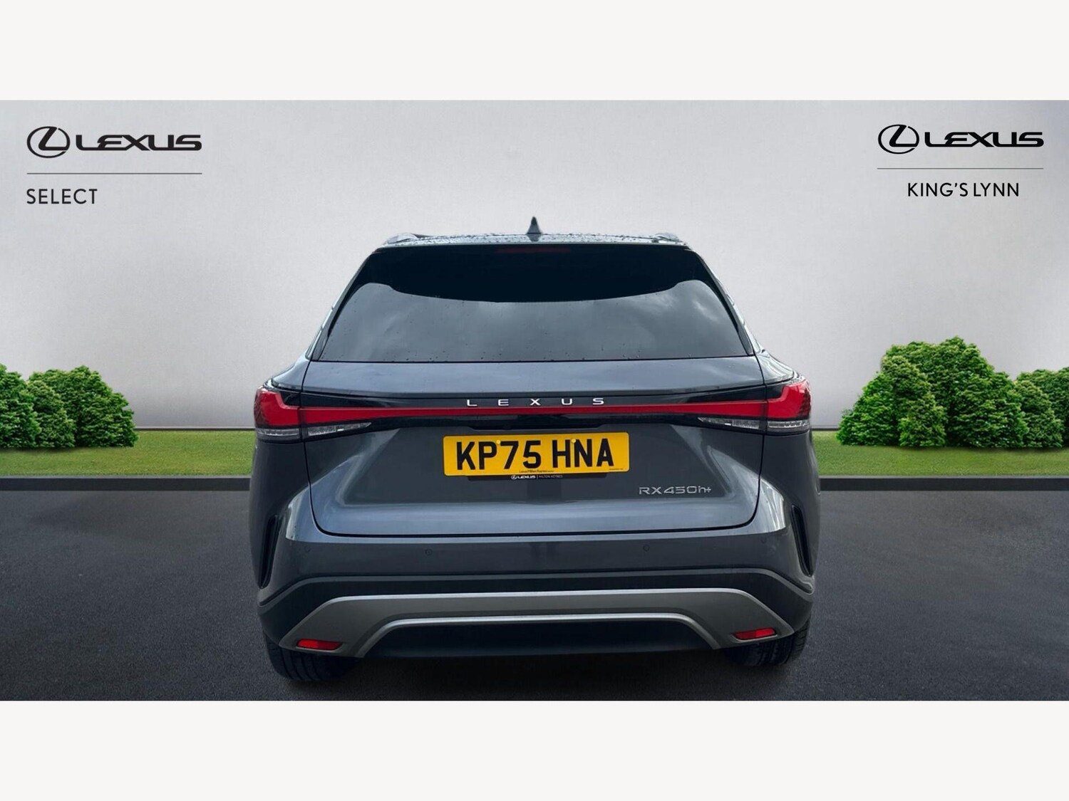 Used Lexus RX 2025 for sale - 77925940: Photo 7