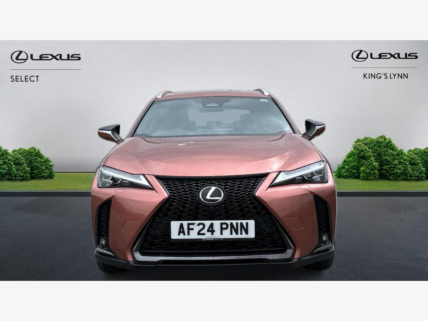 Used Lexus UX 2024 for sale - 76573533: Photo 6