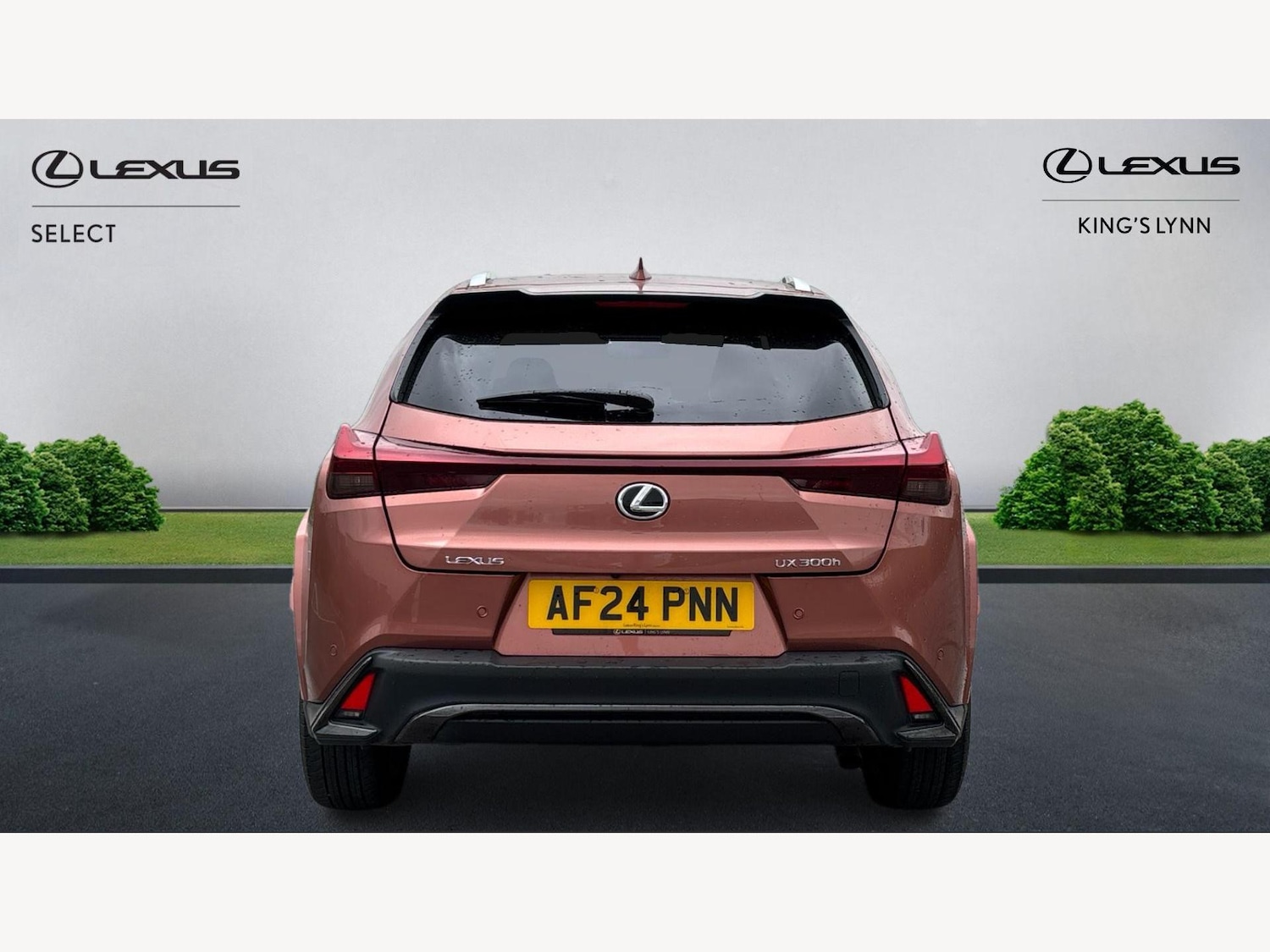 Used Lexus UX 2024 for sale - 76573533: Photo 7