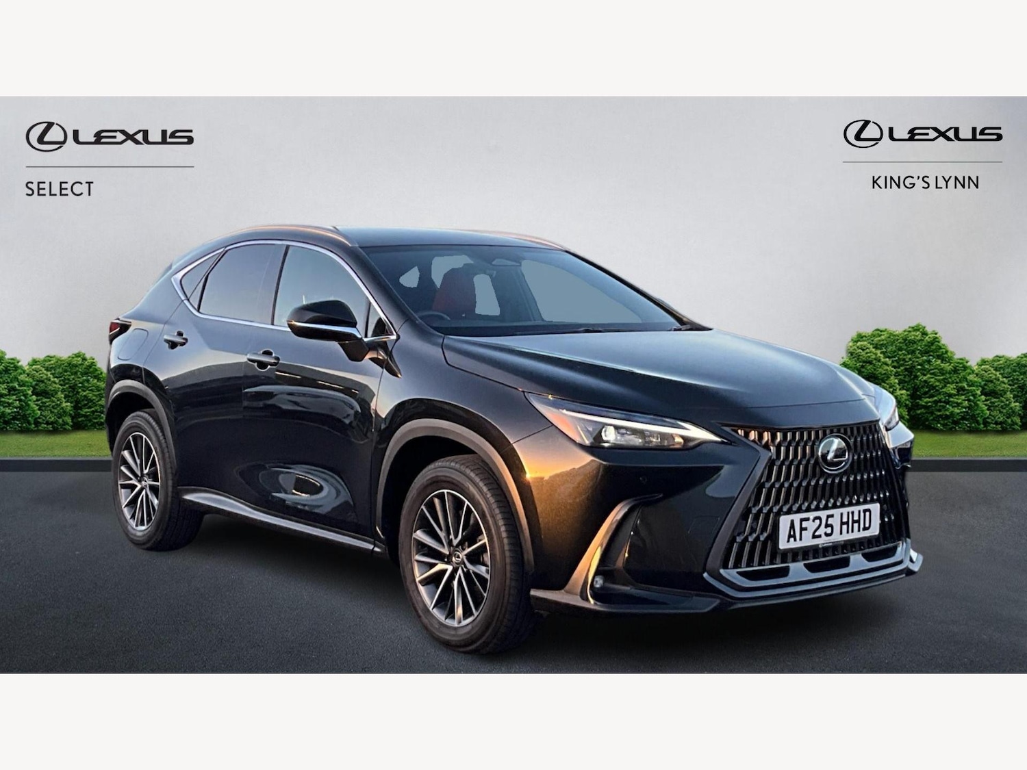 Used Lexus NX 2025 for sale - 77166708: Photo 1