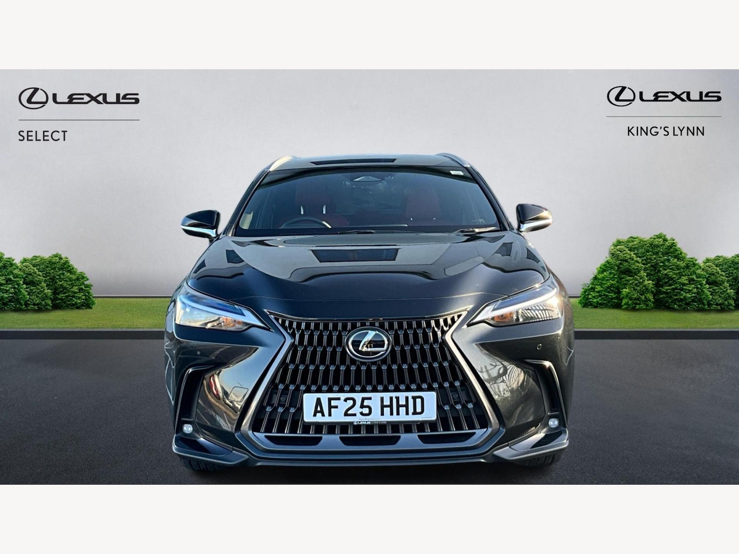 Used Lexus NX 2025 for sale - 77166708: Photo 6