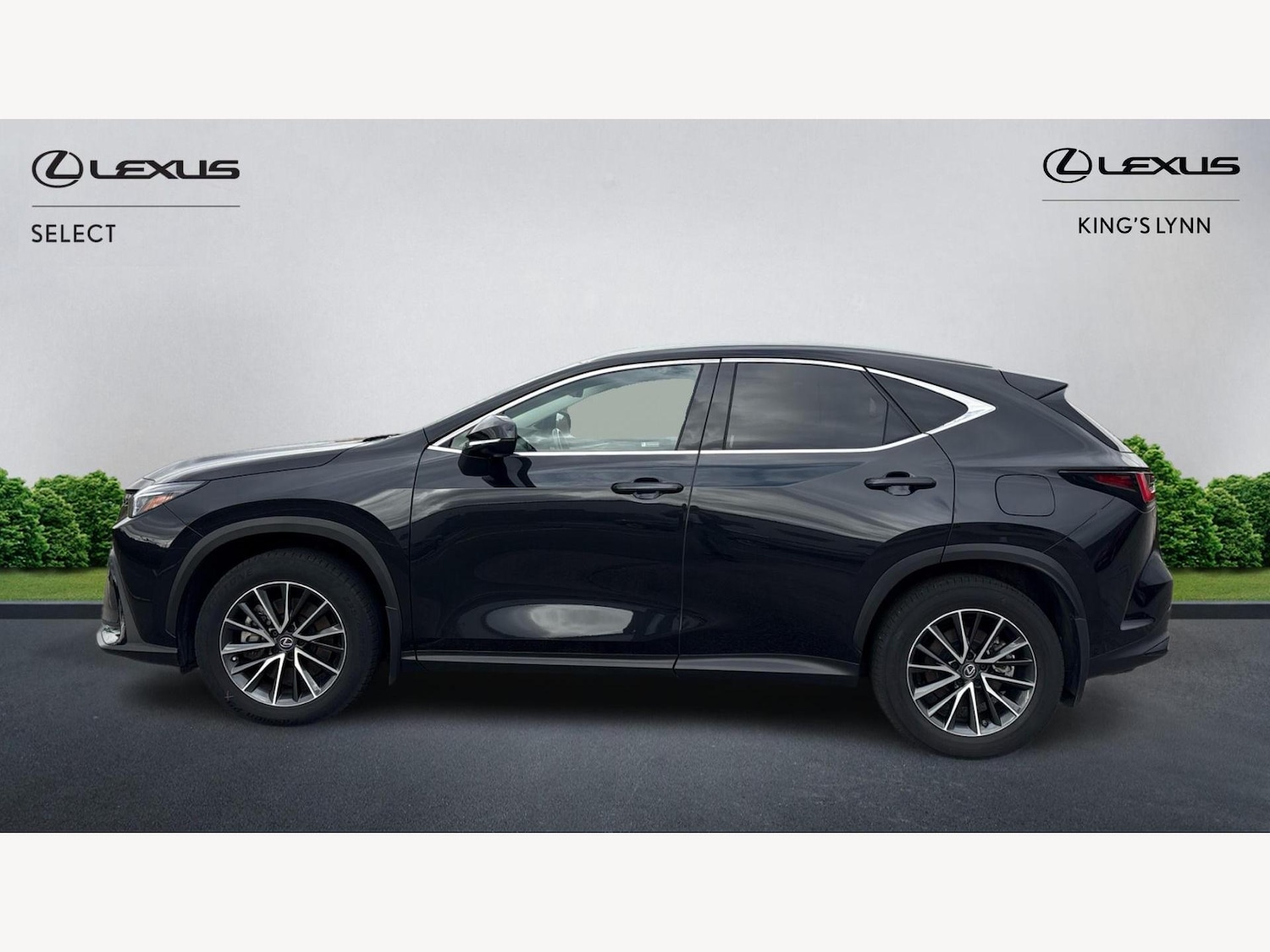 Used Lexus NX 2023 for sale - 77254670: Photo 3