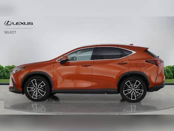 Used Lexus NX 2024 for sale - 79609745: Photo