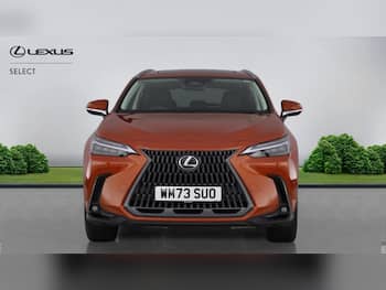 Used Lexus NX 2024 for sale - 79609745: Photo