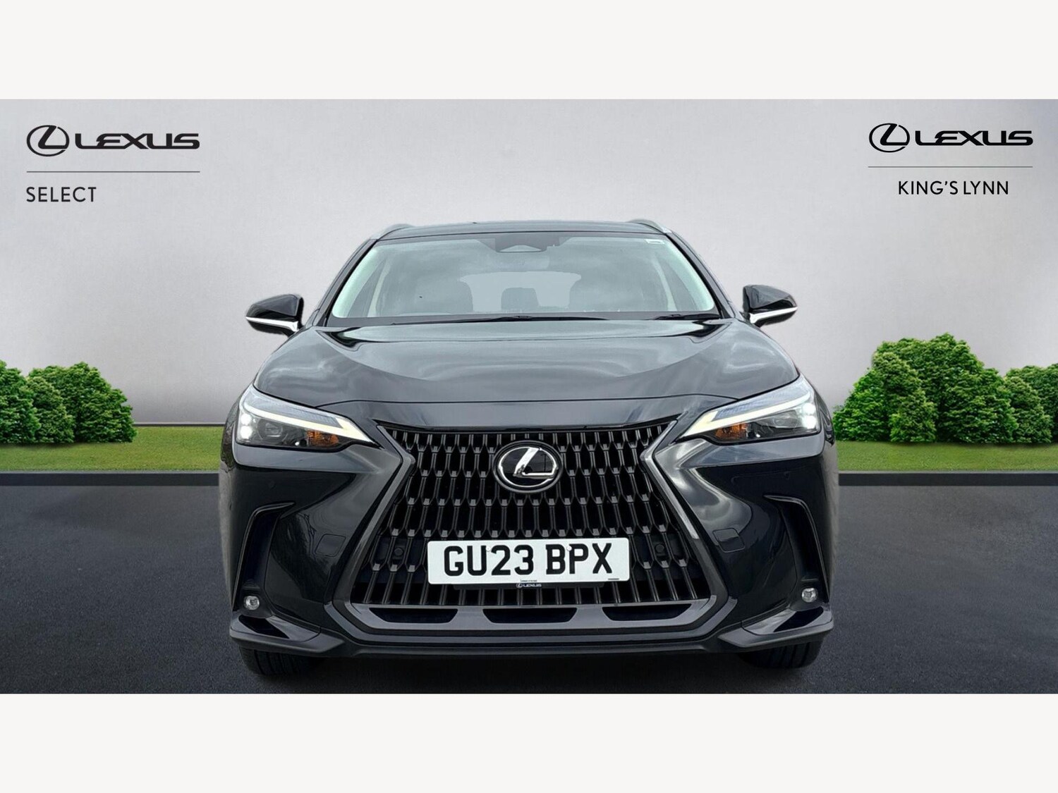 Used Lexus NX 2023 for sale - 76992643: Photo 6