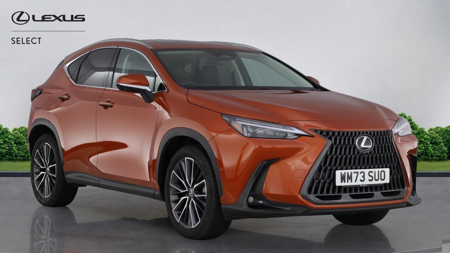 Used Lexus NX 2024 for sale - 77559693: Photo 1