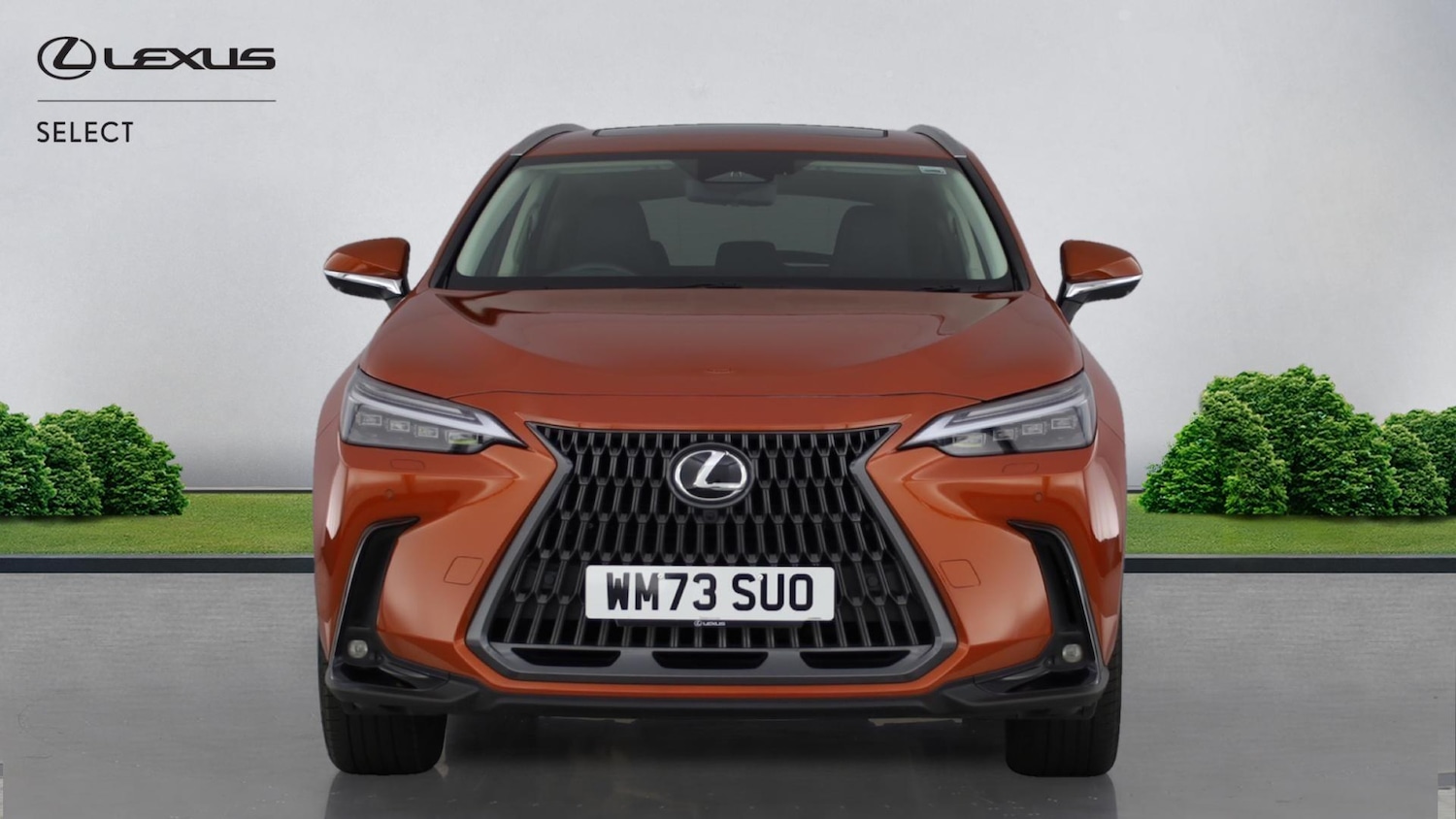 Used Lexus NX 2024 for sale - 77559693: Photo 4