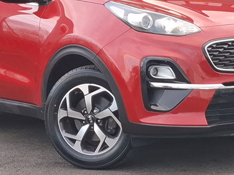Used Kia Sportage 2019 for sale - 77669596: Photo 9