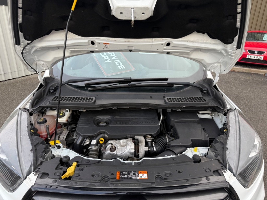 Used Ford Kuga 2019 for sale - 76558348: Photo 12