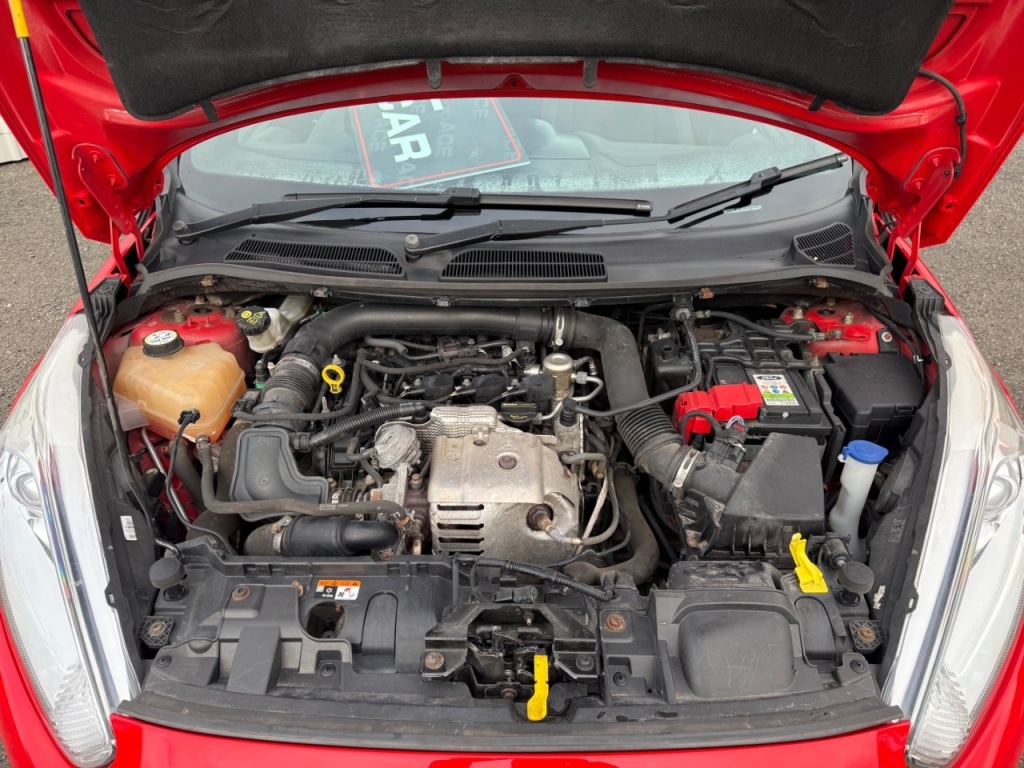 Used Ford Fiesta 2016 for sale - 76508768: Photo 11