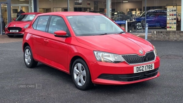 Used Skoda Fabia 2016 for sale - 76419643: Photo 1