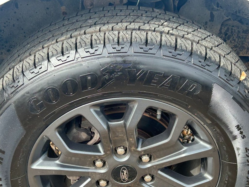 Used Ford Ranger 2026 for sale - 78017797: Photo 16