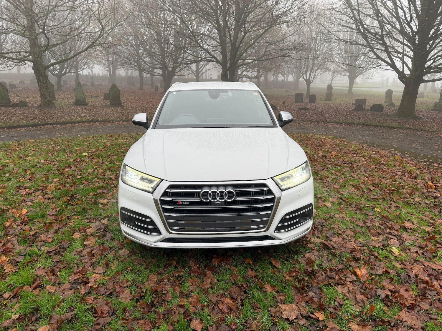 Used Audi SQ5 for sale - 76995902: Photo 67