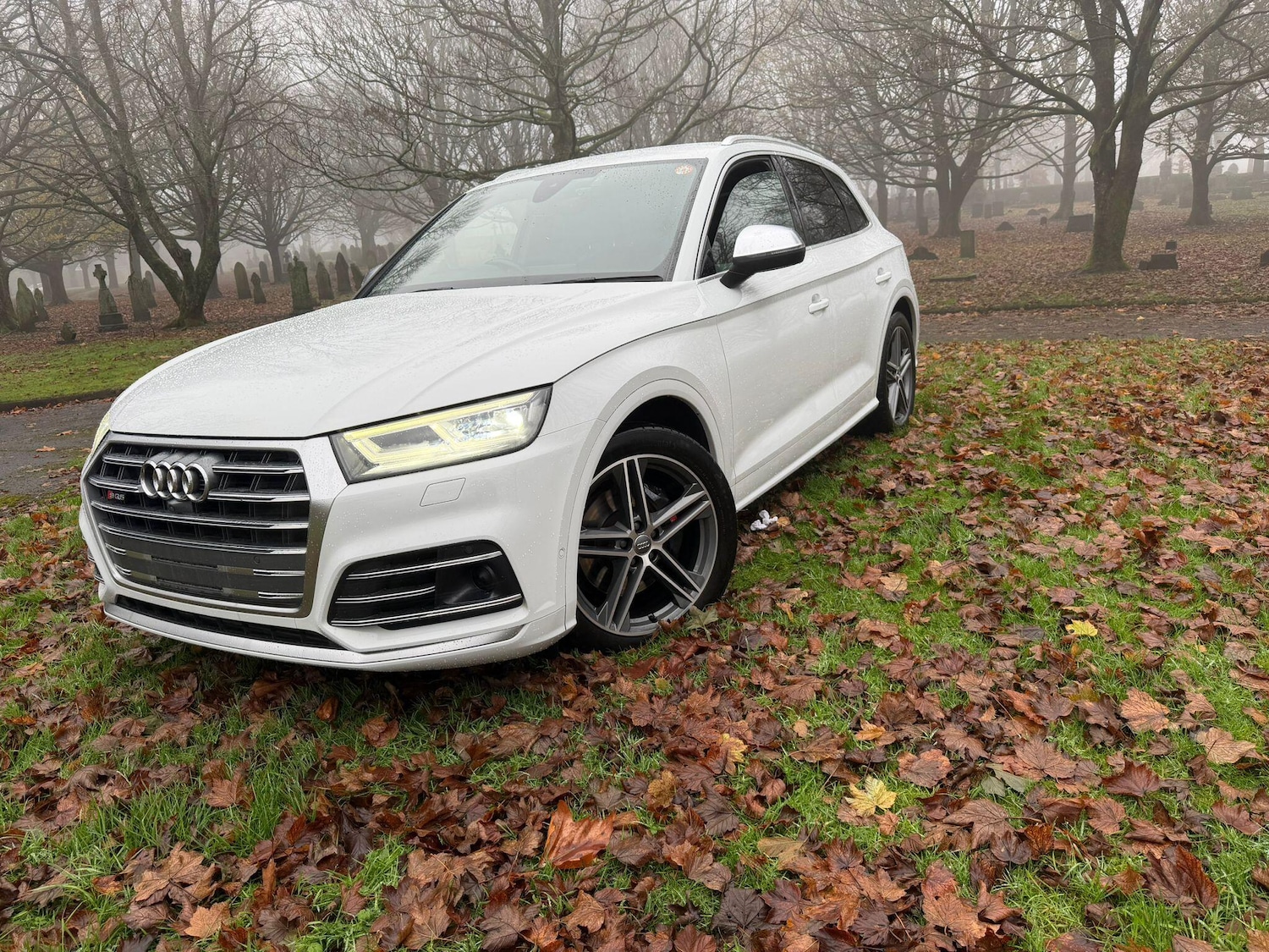 Used Audi SQ5 for sale - 76995902: Photo 69