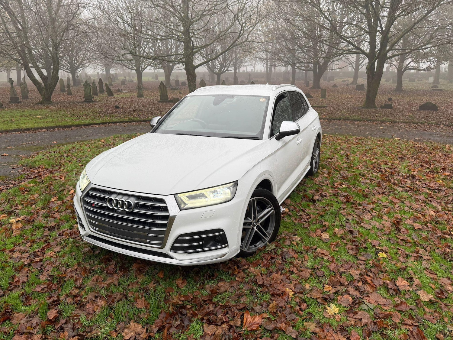 Used Audi SQ5 for sale - 76995902: Photo 70