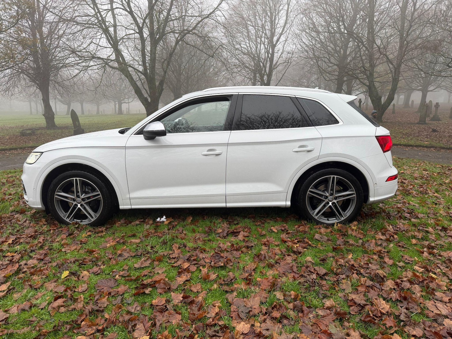Used Audi SQ5 for sale - 76995902: Photo 72