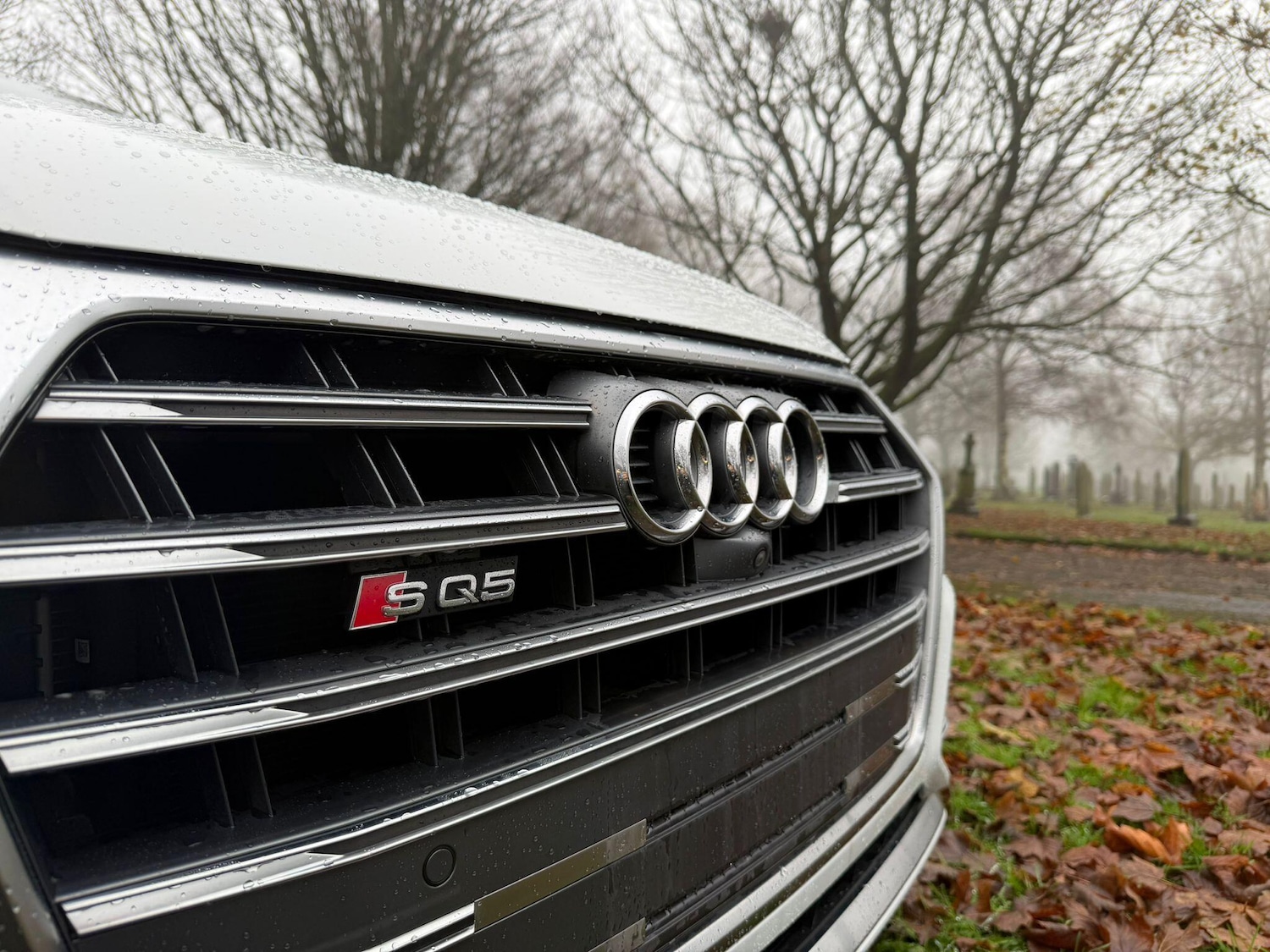 Used Audi Q5 2019 for sale - 76671162: Photo 64