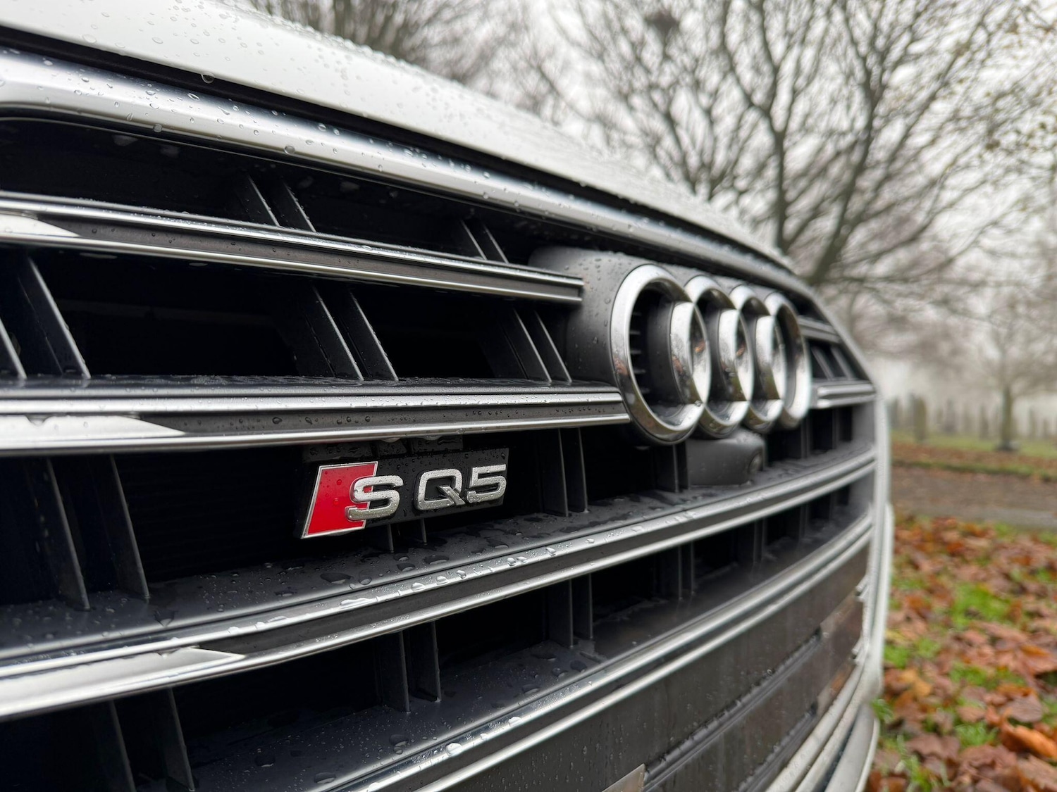 Used Audi Q5 2019 for sale - 76671162: Photo 65