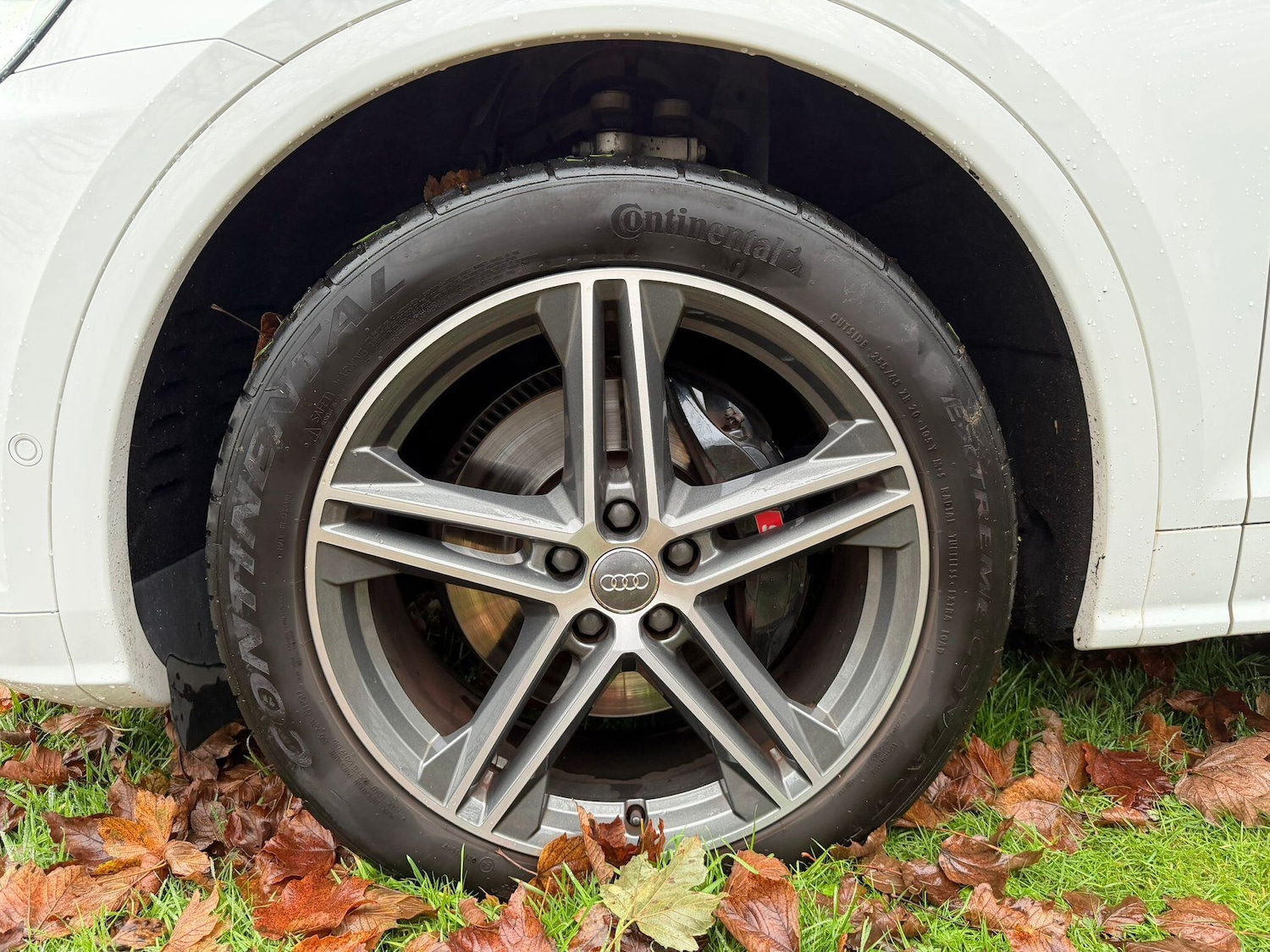 Used Audi Q5 2019 for sale - 76671162: Photo 86