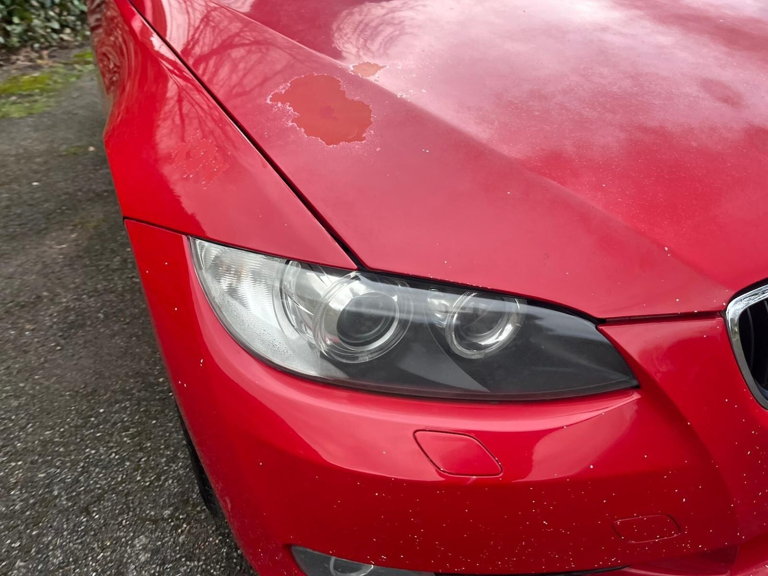 Used BMW 3 Series 2008 for sale - 77808655: Photo 41