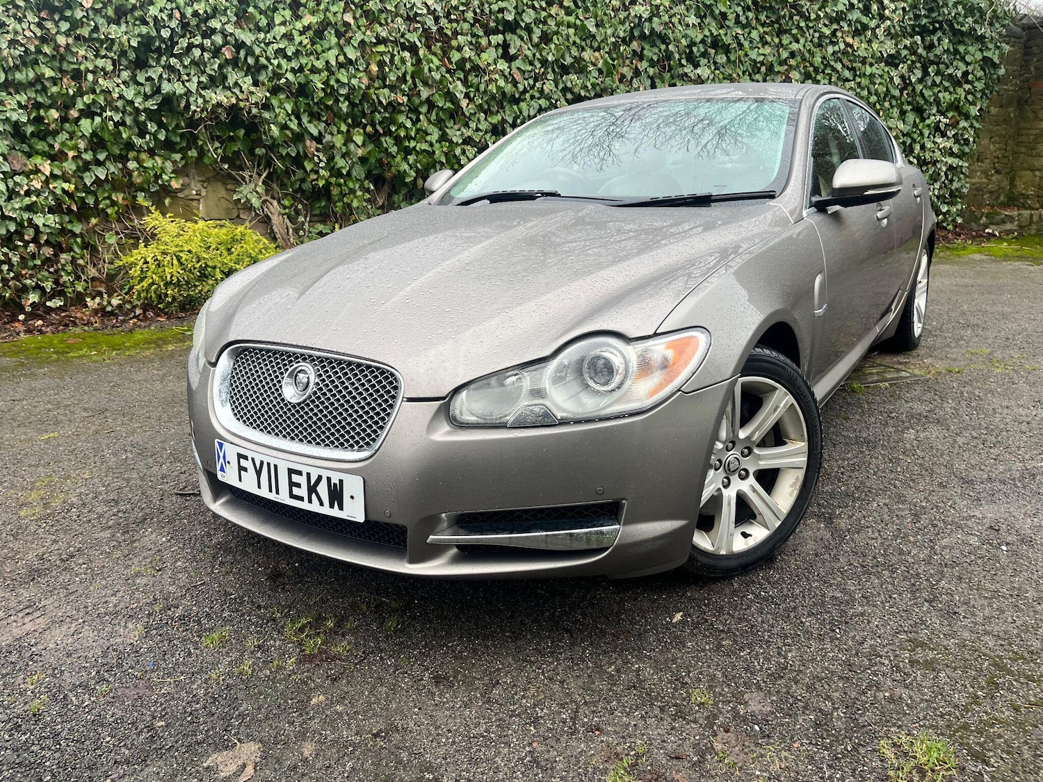 Used Jaguar XF 2011 for sale - 77982623: Photo 54