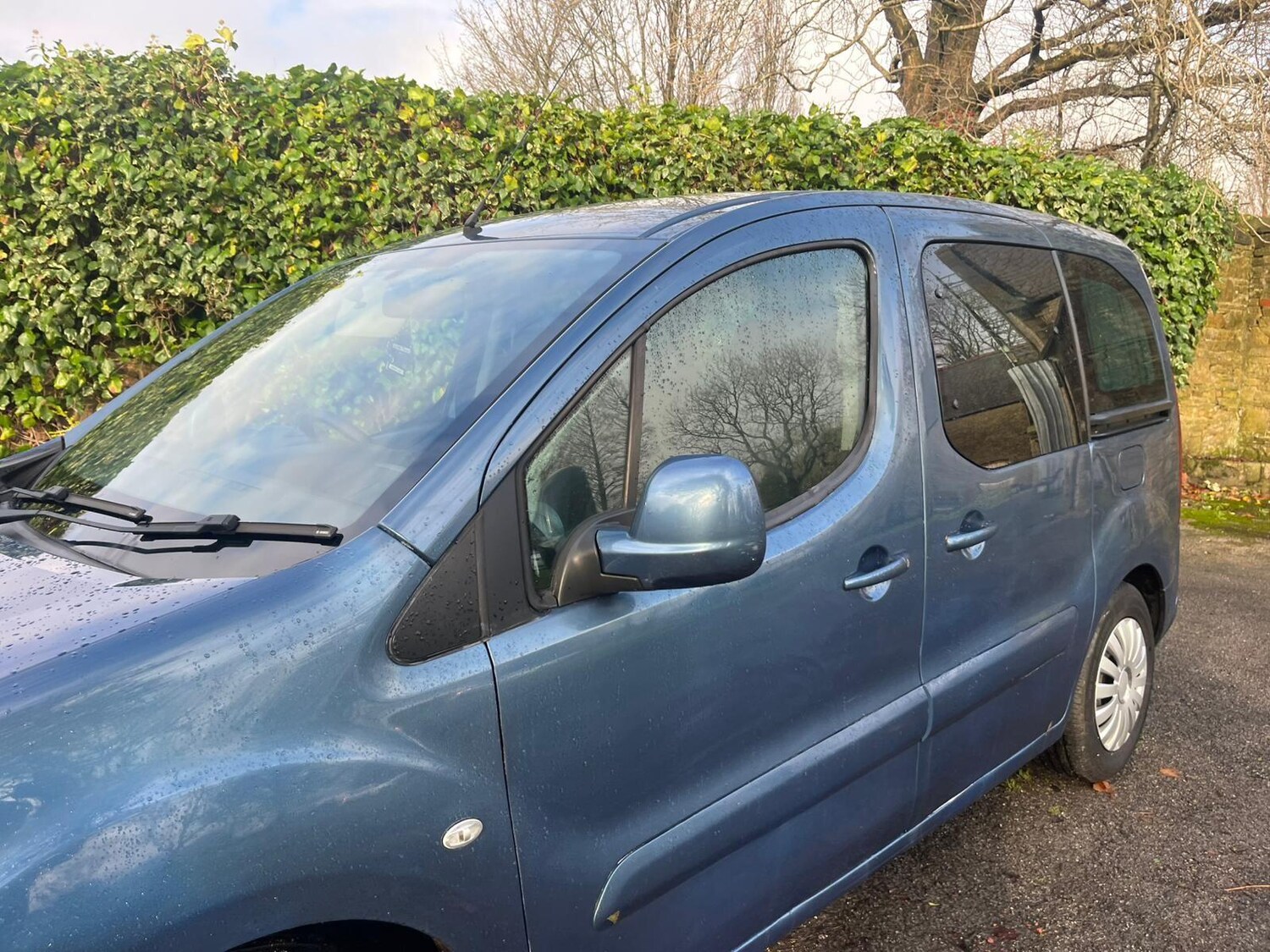 Used Peugeot Partner Tepee 2017 for sale - 76522053: Photo 41