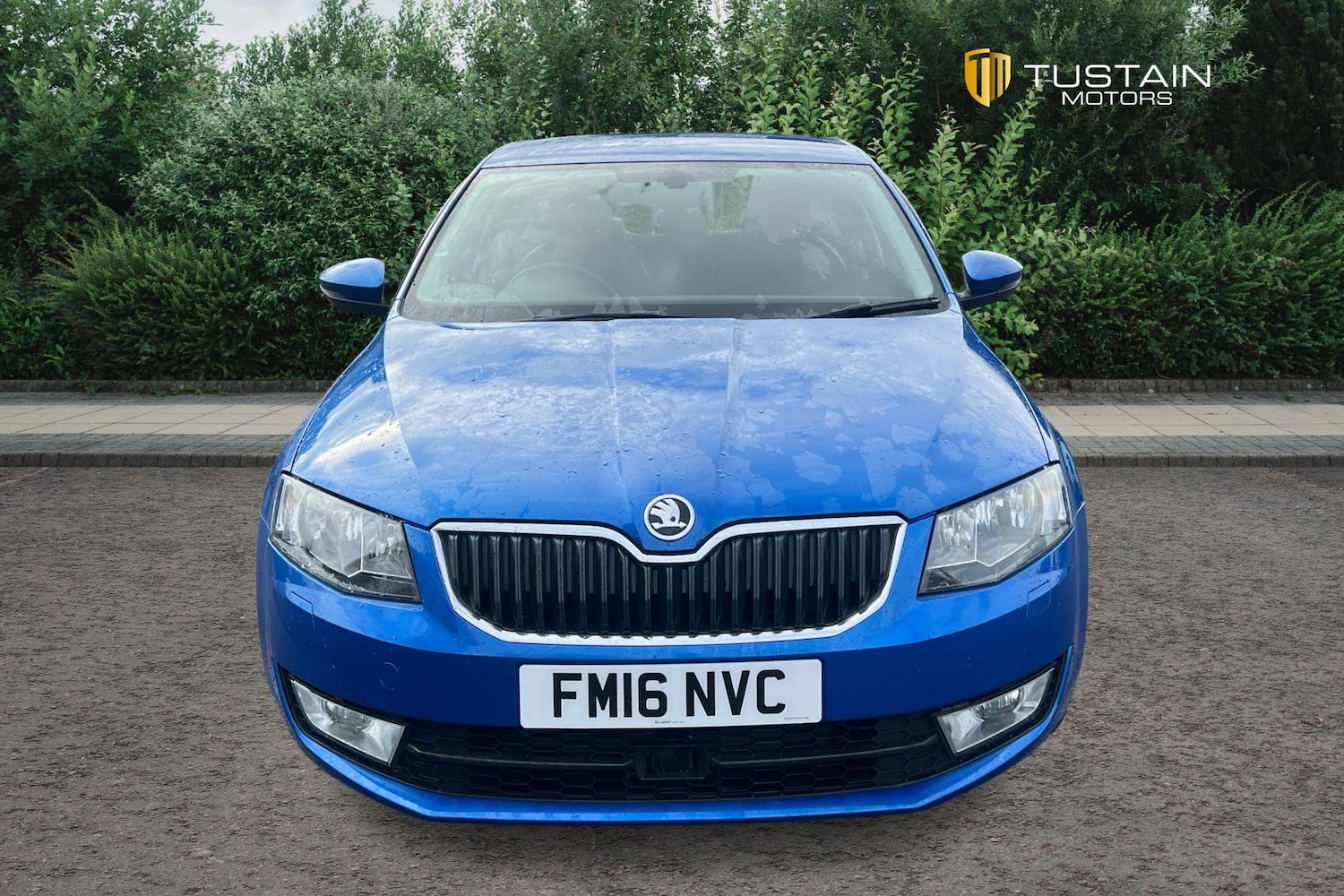 Used Skoda Octavia 2016 for sale - 76637117: Photo 10