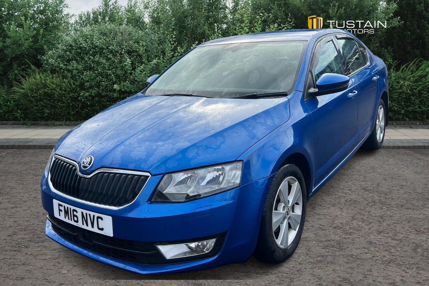 Used Skoda Octavia 2016 for sale - 76637117: Photo 6