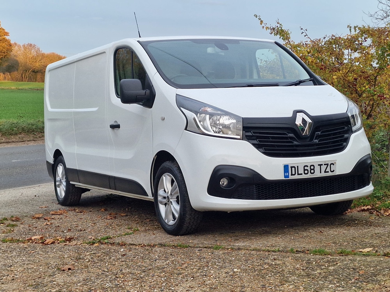 Used Renault Trafic 2018 for sale - 76525652: Photo 13