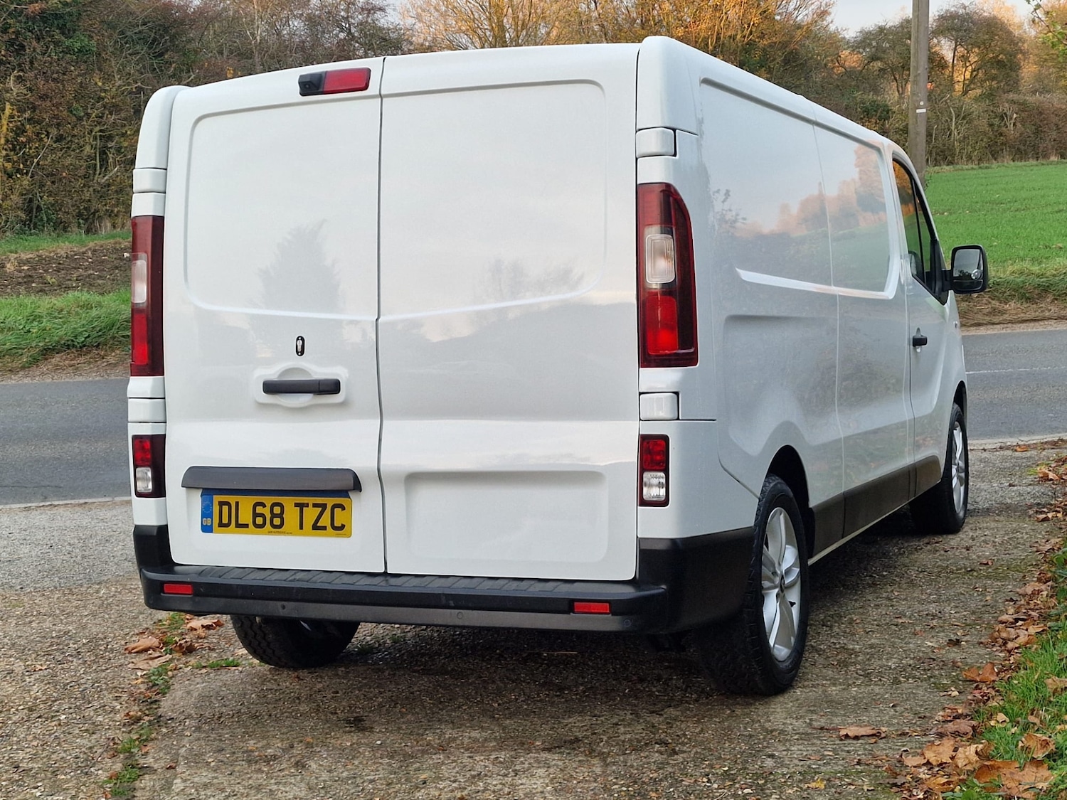 Used Renault Trafic 2018 for sale - 76525652: Photo 6