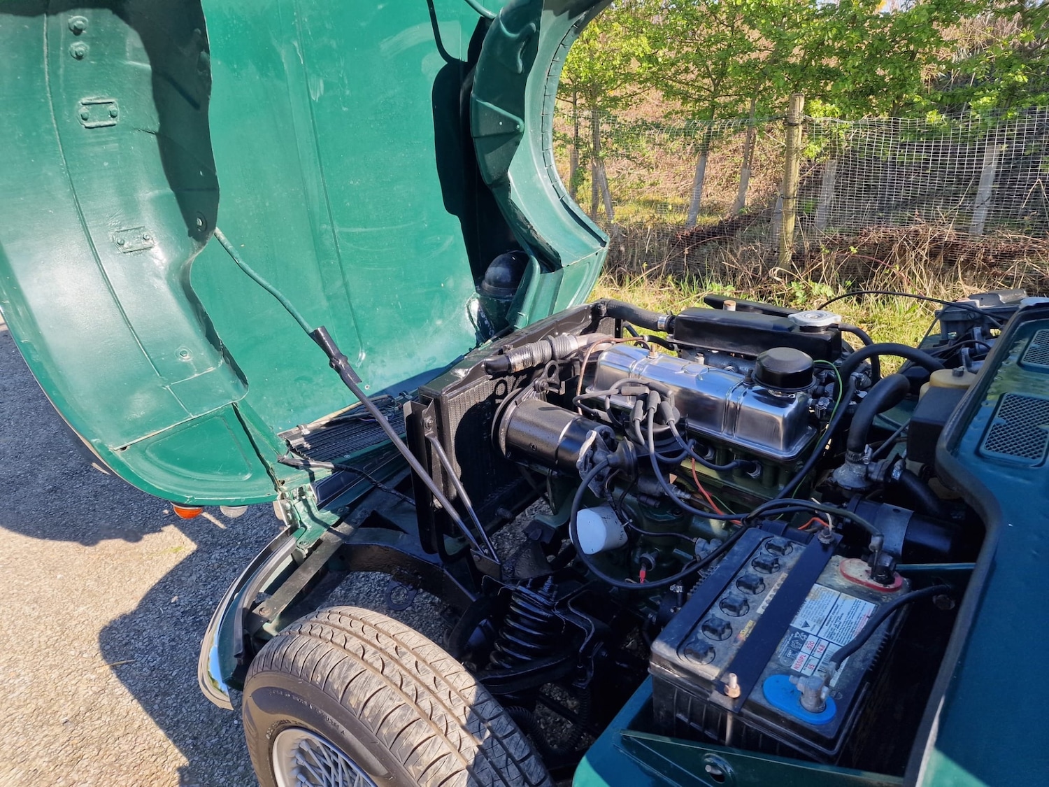 Used Triumph Spitfire 2018 for sale - 78173073: Photo 11