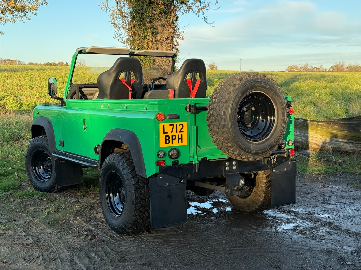 Used Land Rover 90 1994 for sale - 76846119: Photo 9