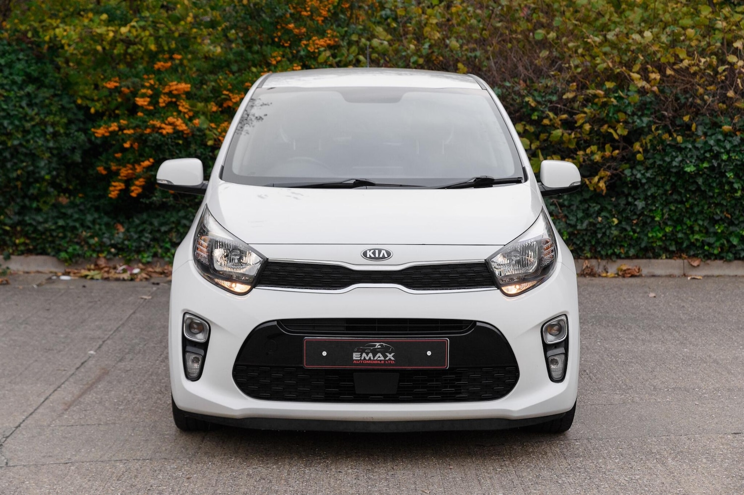Used Kia Picanto 2017 for sale - 76398340: Photo 2