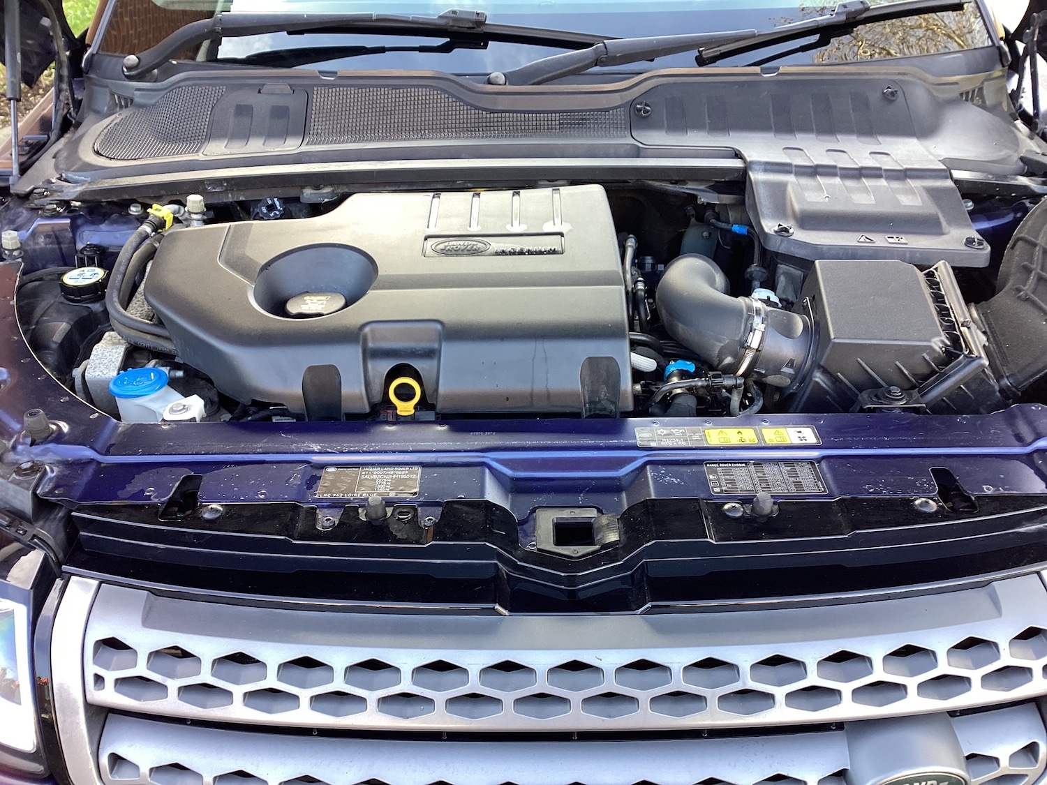 Used Land Rover Range Rover Evoque 2016 for sale - 77123290: Photo 10