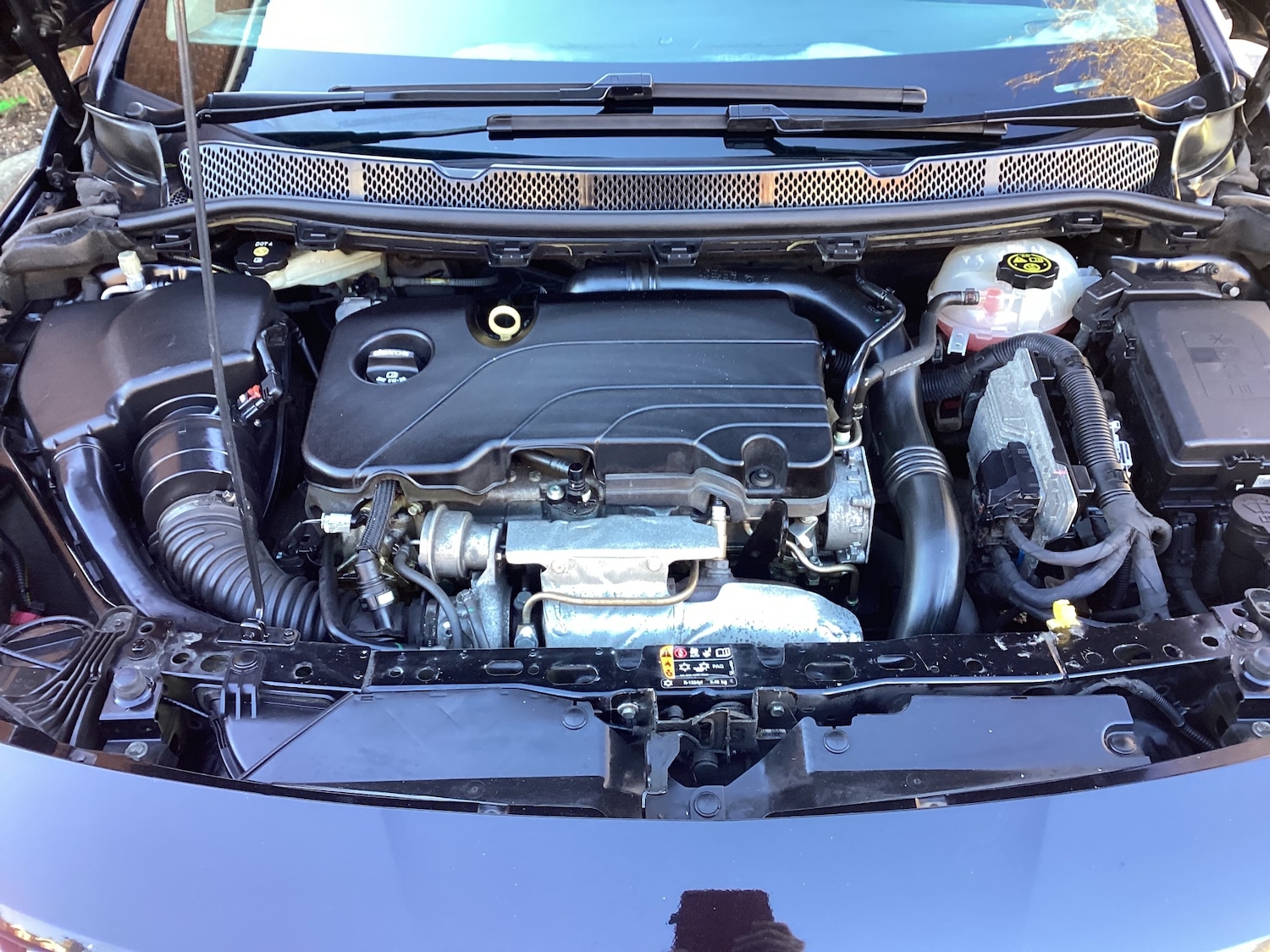 Used Vauxhall Astra 2016 for sale - 76693867: Photo 11