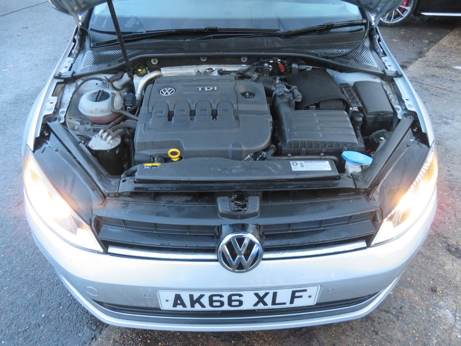 Used Volkswagen Golf 2016 for sale - 77028281: Photo 9