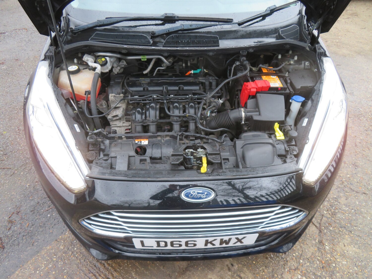 Used Ford Fiesta 2016 for sale - 77906851: Photo 9