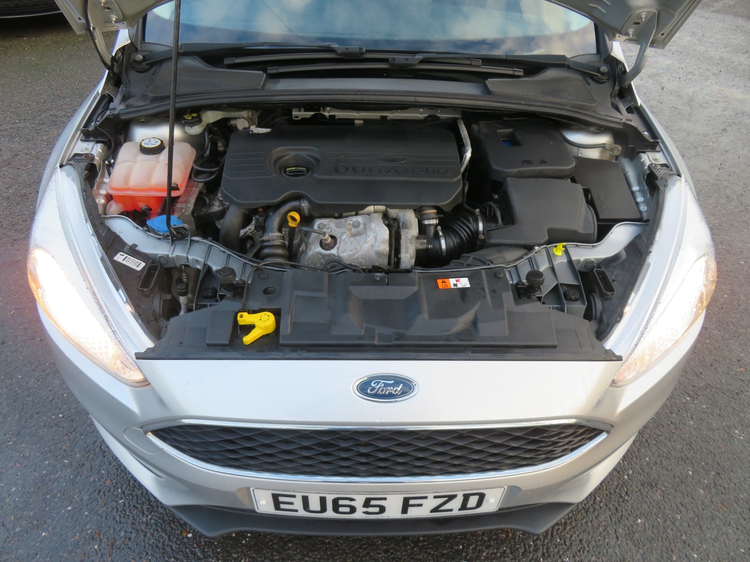 Used Ford Focus 2021 for sale - 77394923: Photo 9