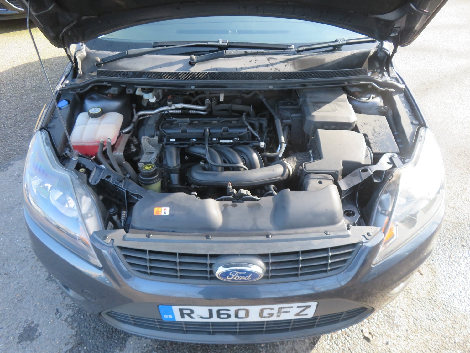 Used Ford Focus 2011 for sale - 77668713: Photo 9