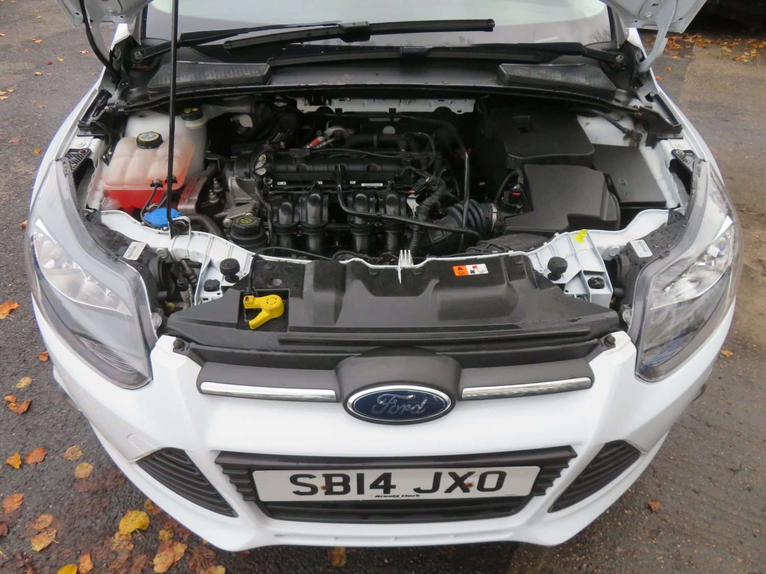 Used Ford Focus 2014 for sale - 76418605: Photo 9