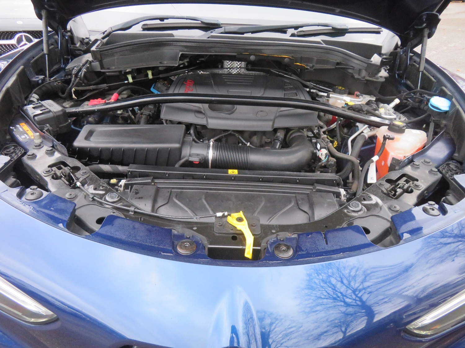 Used Alfa Romeo Stelvio 2019 for sale - 76554826: Photo 52