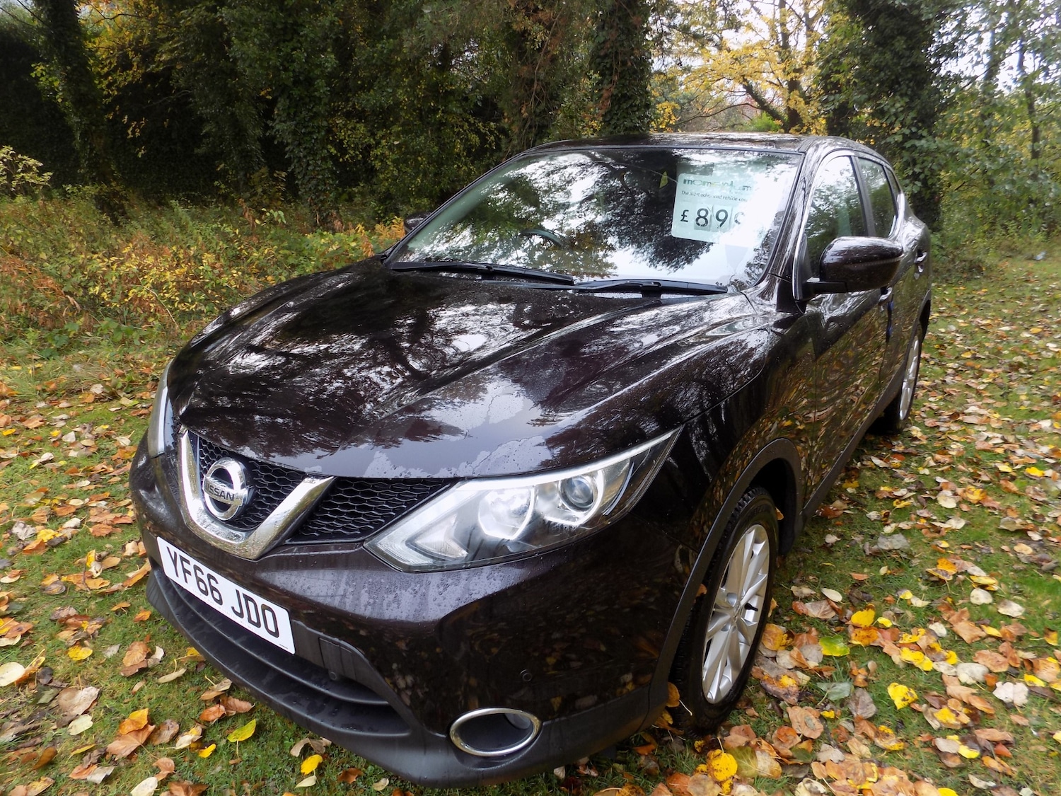 Used Nissan Qashqai 2017 for sale - 76329790: Photo 4
